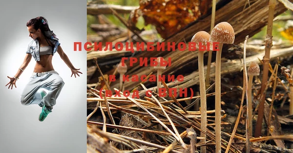 ALPHA-PVP Нязепетровск