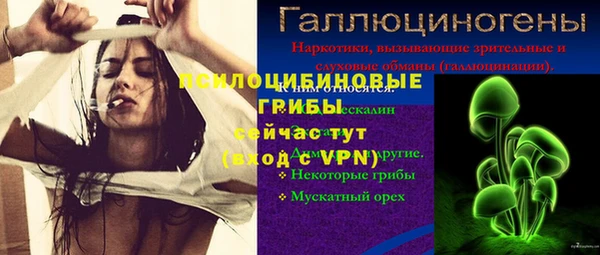 мяу мяу мука Нягань